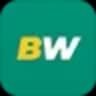 Betwinner
